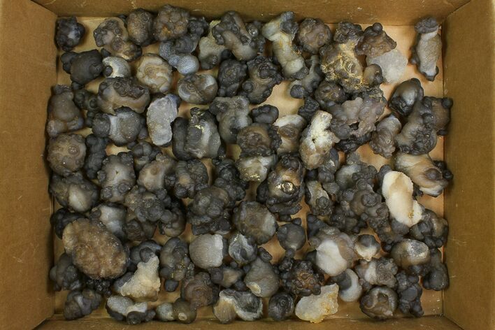 Lot: to Natural Chalcedony Nodules - Pieces #137959